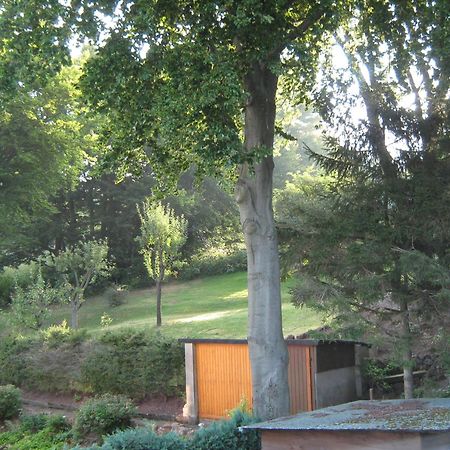 Ferienwohnung Sauerland Panorama Korbach Exteriör bild